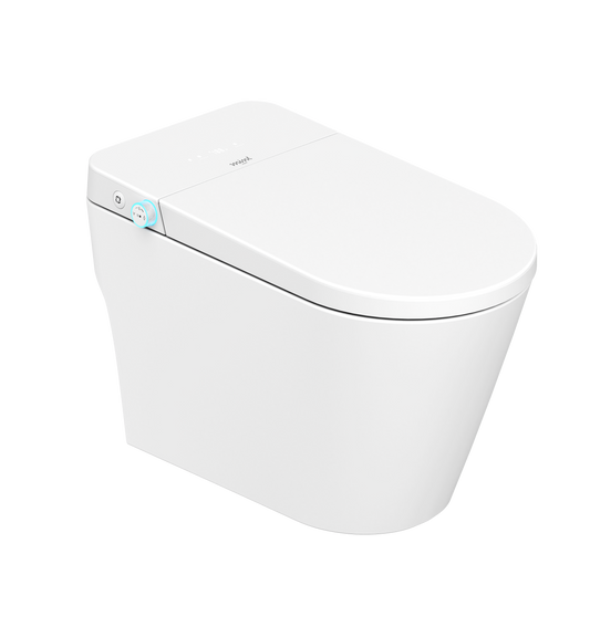 Mint Two Intelligent Toilet