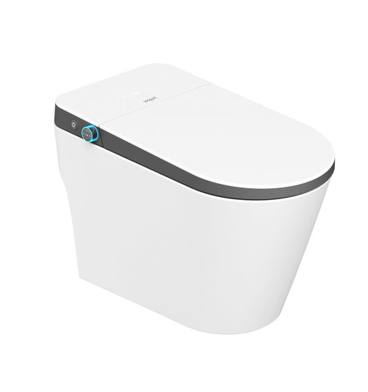 Mint Two Intelligent Toilet